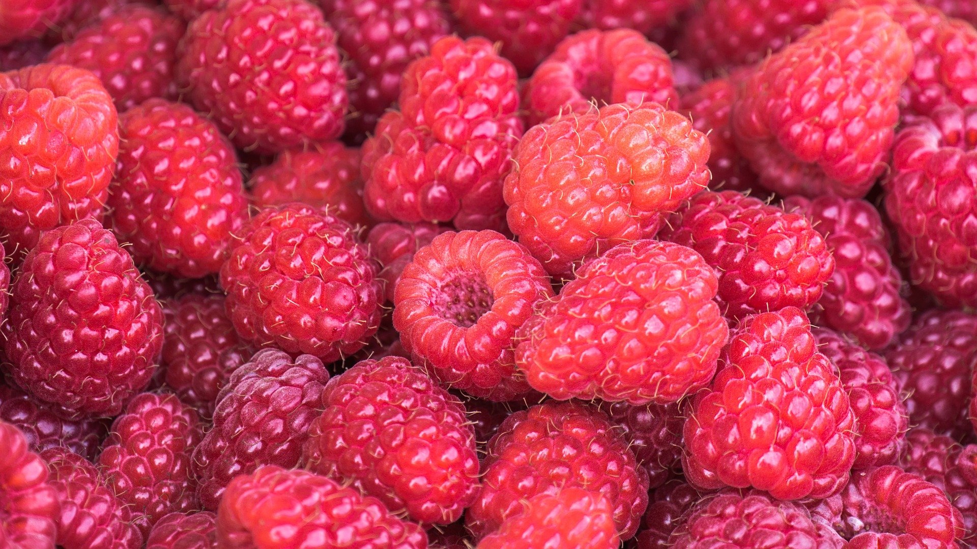 raspberries 3583005 1920