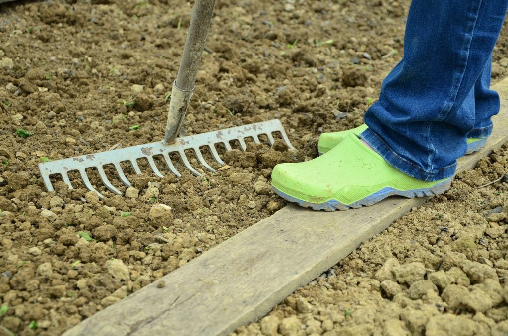 Wapnowanie gleby – jak robić to właściwie?