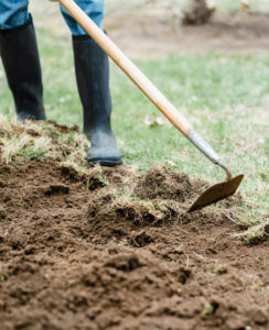 Warzywniak przed zimą