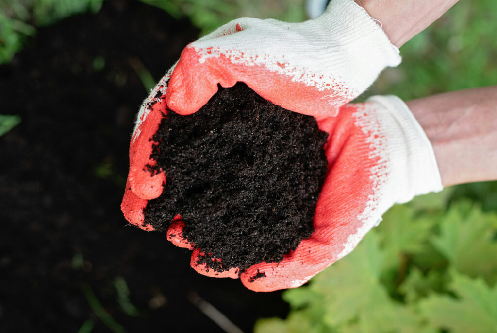 Gleba do uprawy roślin